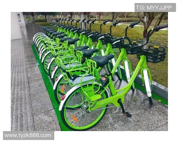 绿色出行新选择：探索自行车在城市交通中的多重价值与发展潜力