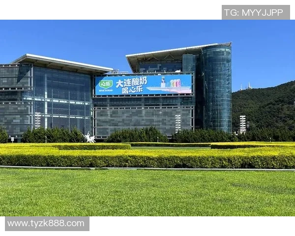 创意设计与品牌传播相结合，打造引人注目的广告效果，提升市场竞争力