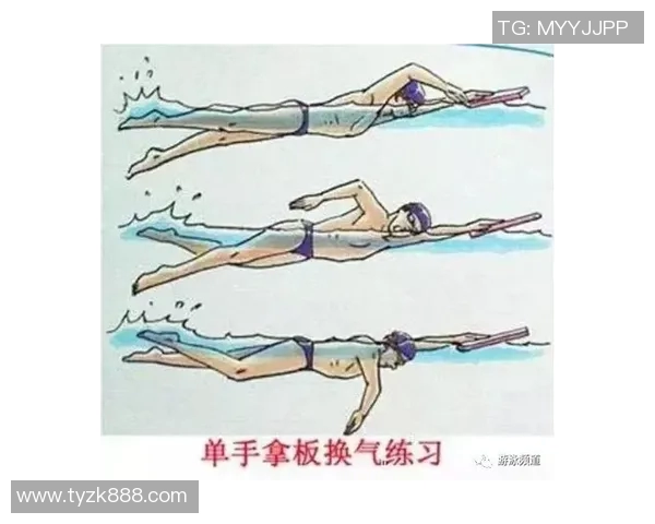 自由泳初学者必读全攻略从入门到技巧提升一步步掌握游泳秘诀