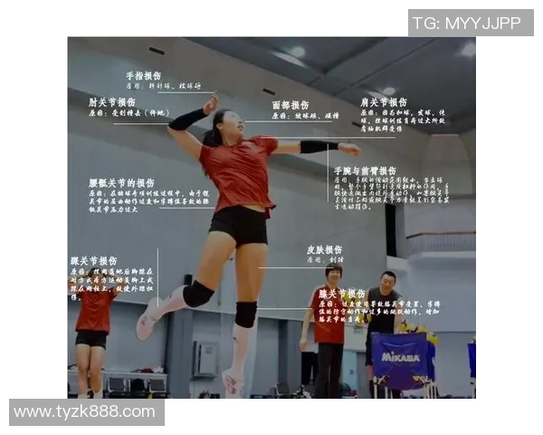 上海排球队的成长之路:一段激励人心的排球纪实故事 上海排球队的成长之路:一段激励人心的排球纪实故事